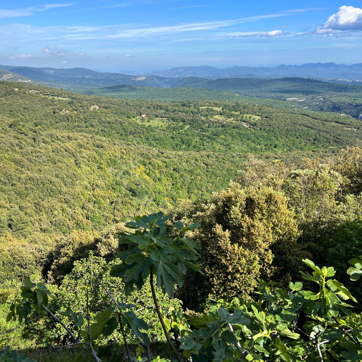 Provenzalisches Restaurant - mit Aussicht